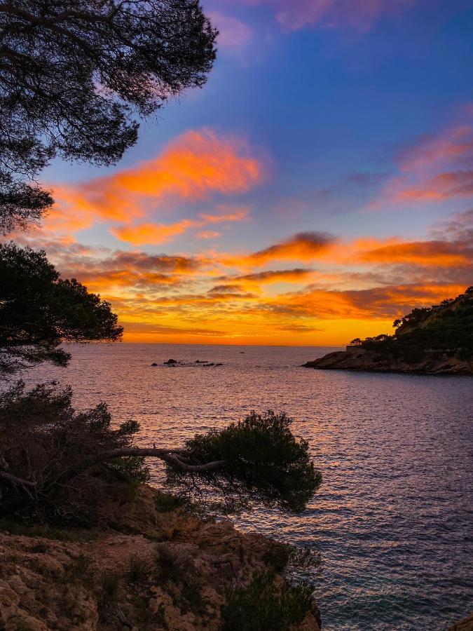 Appartement Au Calme, Calanque Des Figuieres Ансюэс-ла-Редон Экстерьер фото